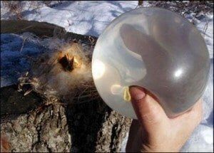 10 способов разжечь огонь на природе