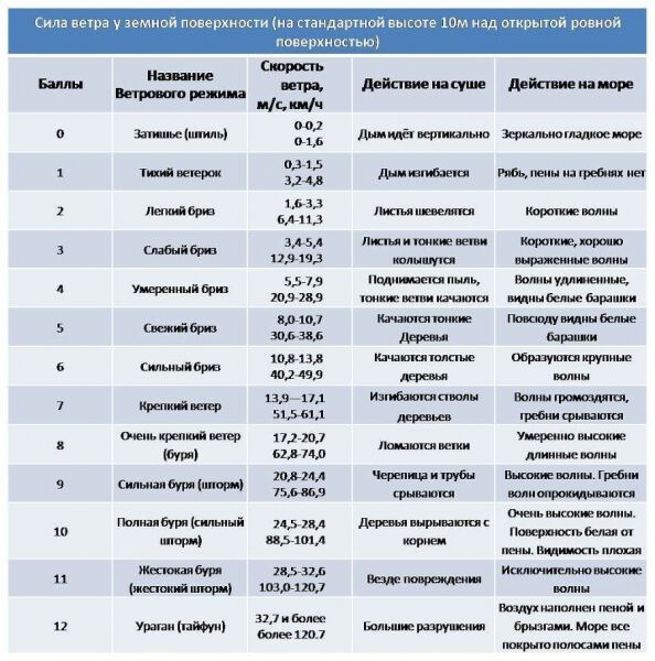 11 погибших при урагане в Москве: Бездействие МЧС или халатность граждан?