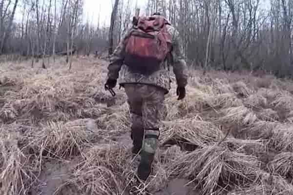 25 советов и хитростей для выживания в дикой природе 25 советов и хитростей для выживания в дикой природе