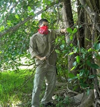 Бандана защищает органы дыхания Бандана защищает органы дыхания