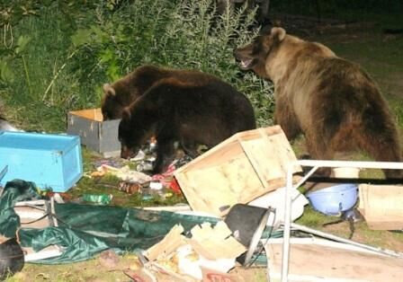 Безопасный поход с ночевкой: сигнализация и ловушки Безопасный поход с ночевкой: сигнализация и ловушки