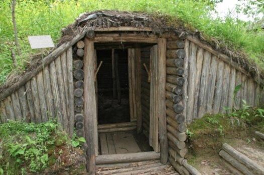 Собственная замаскированная землянка в глухом лесу - вариант автономного убежища Собственная замаскированная землянка в глухом лесу - вариант автономного убежища