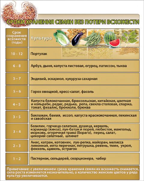 Хранилище семян на случай апокалипсиса