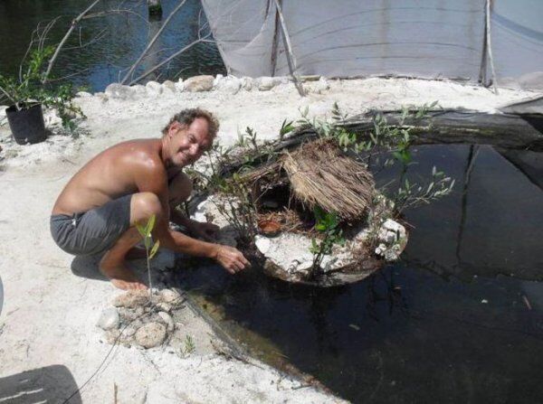 искуственный плавучий остров из пластиковых бутылок