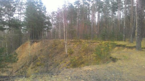 Личный опыт. Как сделать лавочку в лесу