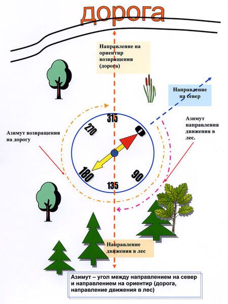 Магнитный Компас