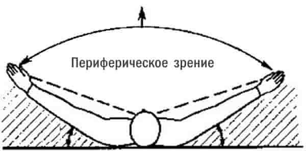 Периферическое зрение для выживания в бою и ЧС