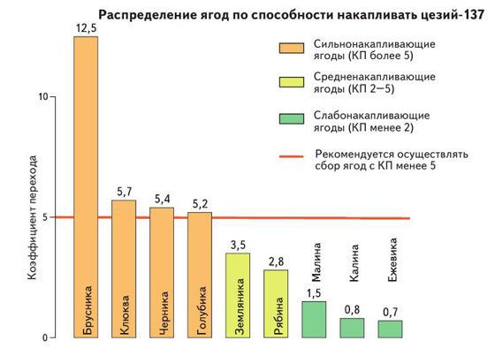 Радиация: накопление в грибах, ягодах и травах